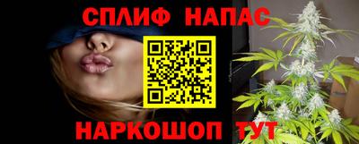 индика Абакан