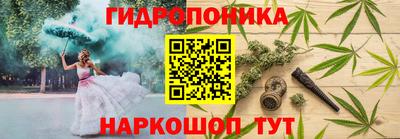 индика Абакан