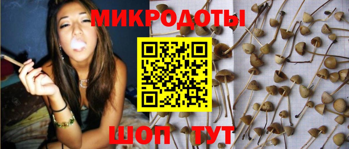 Альметьевск  Галлюциногенные грибы Psilocybine cubensis  Вход с VPN 