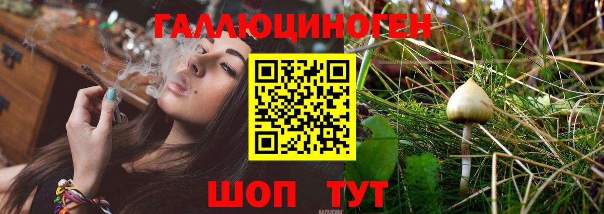 Альметьевск  Вход с VPN  Cocaine  Меф   ГАШ  ЭКСТАЗИ  Где продают наркотики?  Канабис 