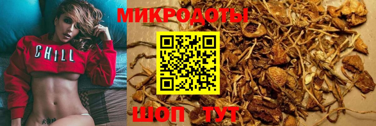 Галлюциногенные грибы Psilocybe Альметьевск